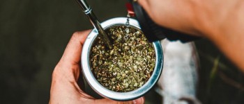 Le maté serait-il votre prochain indispensable de la saison ?