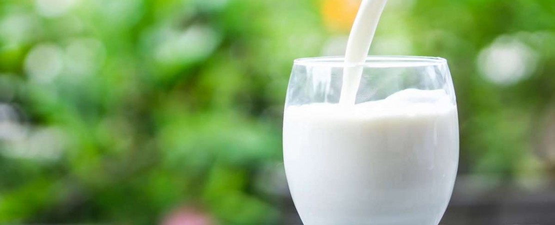 Diabète de type 2 : Lait de Vache ou Lait de Chèvre ?