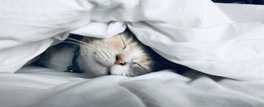 rôle du sommeil dans le diabète et vice-versa
