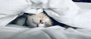 Diabète et troubles du sommeil : Et s'il existait un lien ?