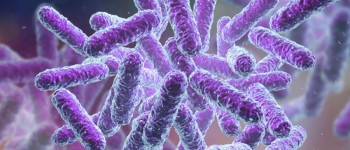 Diabète de type 2 : les probiotiques ont-ils un rôle à jouer ?