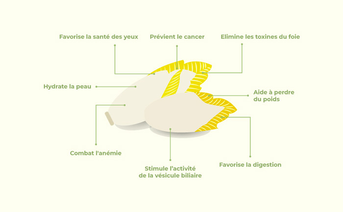 endive