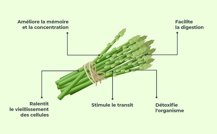 Asperge