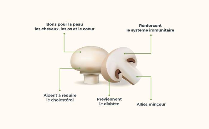 Champignon de Paris