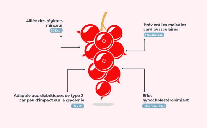 Groseille